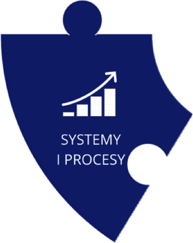 systemy i procesy